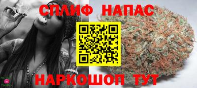 стафф Будённовск