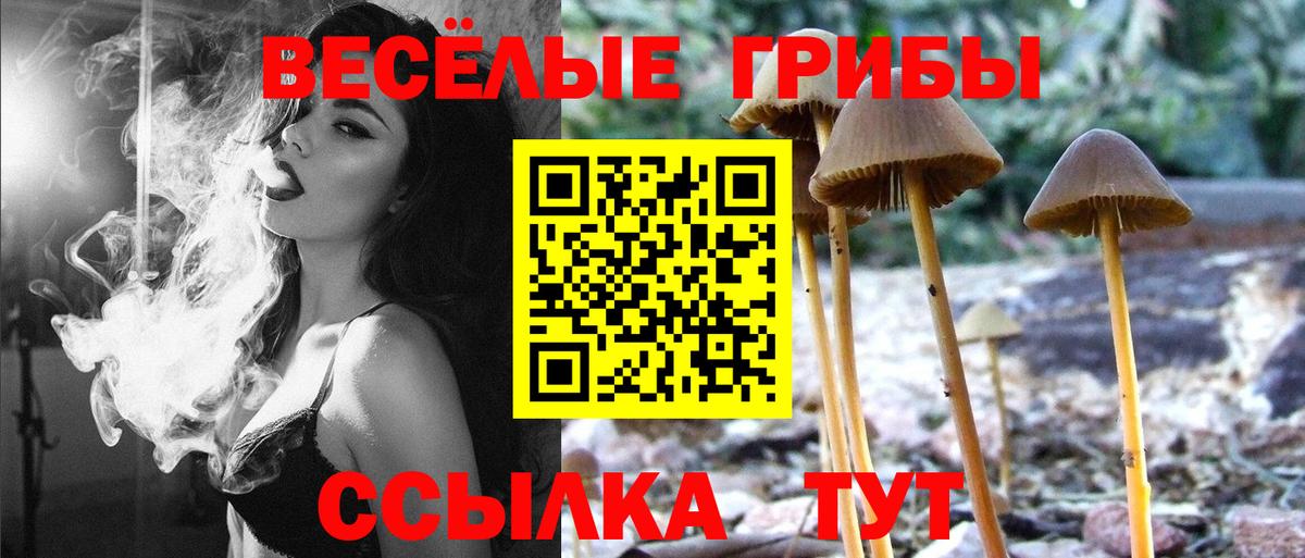 Галлюциногенные грибы GOLDEN TEACHER  Вход с VPN  Галлюциногенные грибы мухоморы  Лесосибирск 